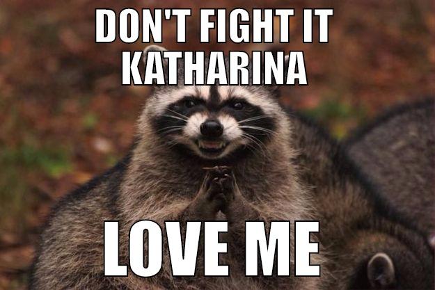 DON'T FIGHT IT KATHARINA LOVE ME Evil Plotting Raccoon