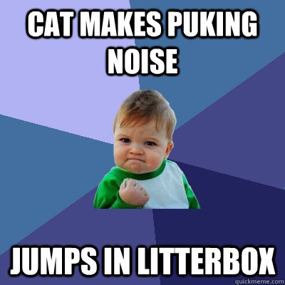 Cat makes puking noise Jumps in litterbox  Success Kid