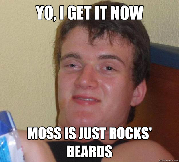 Yo, I get it now moss is just rocks' beards - Yo, I get it now moss is just rocks' beards  10 Guy