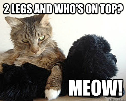 2 legs and who's on top? MEOW!  