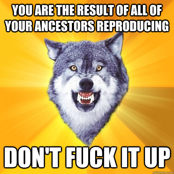 You are the result of all of your ancestors reproducing don't fuck it up  Courage Wolf