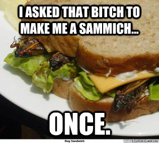 I asked that bitch to make me a sammich... Once. - I asked that bitch to make me a sammich... Once.  roachsammich