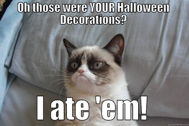 OH THOSE WERE YOUR HALLOWEEN DECORATIONS? I ATE 'EM! Grumpy Cat