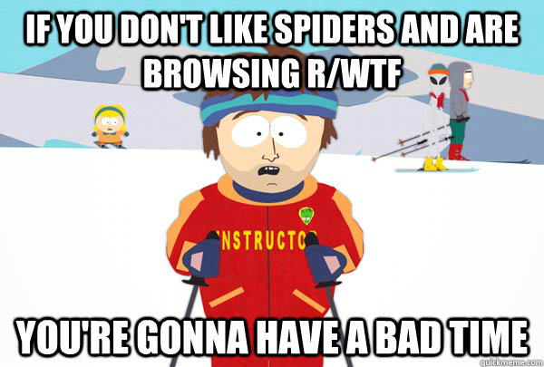 If you don't like spiders and are browsing r/WTF You're gonna have a bad time  Super Cool Ski Instructor