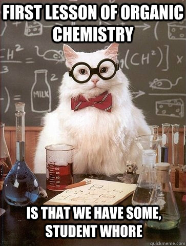 first lesson of organic chemistry is that we have some, student whore  Chemistry Cat