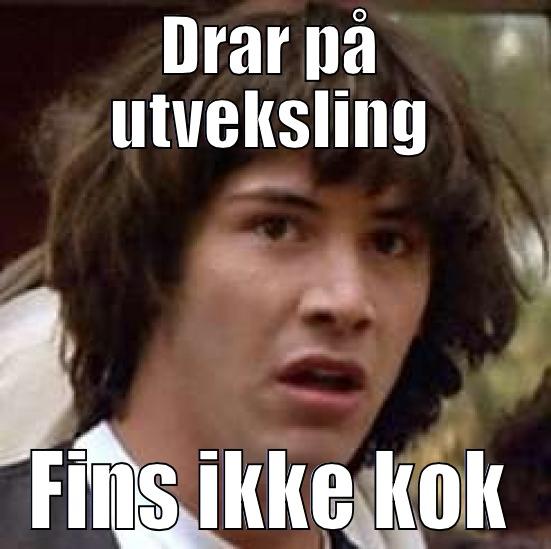 DRAR PÅ UTVEKSLING FINS IKKE KOK conspiracy keanu