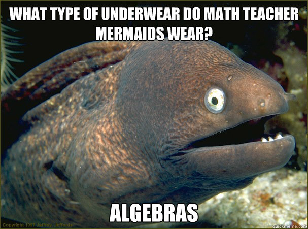 What type of underwear do math teacher  mermaids wear? Algebras  Bad Joke Eel