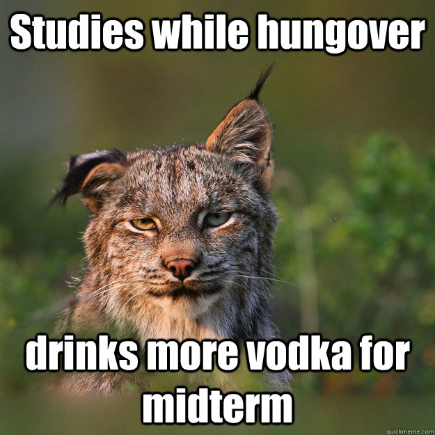 Studies while hungover drinks more vodka for midterm  