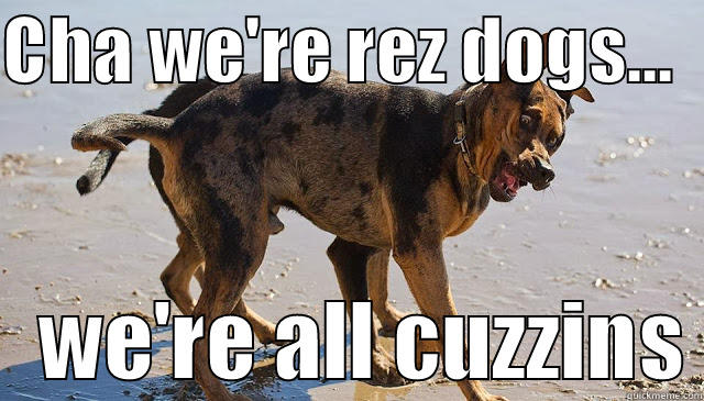 All rez dogs go to the garbage - CHA WE'RE REZ DOGS...      WE'RE ALL CUZZINS Misc