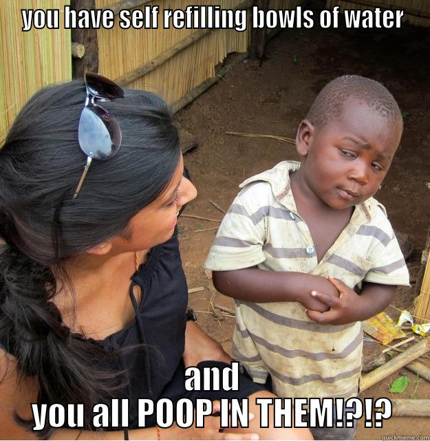 YOU HAVE SELF REFILLING BOWLS OF WATER AND YOU ALL POOP IN THEM!?!? Skeptical Third World Kid