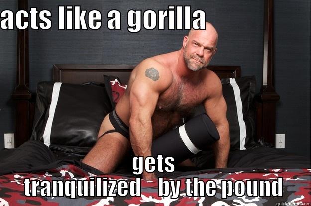 ACTS LIKE A GORILLA                     GETS TRANQUILIZED    BY THE POUND Gorilla Man