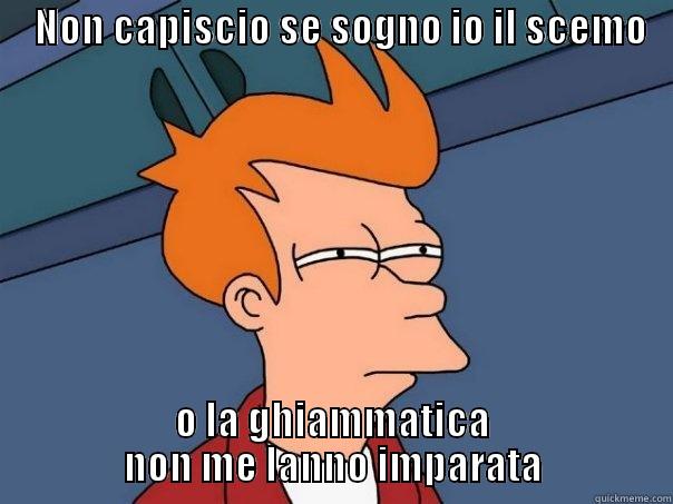     NON CAPISCIO SE SOGNO IO IL SCEMO                        O LA GHIAMMATICA NON ME LANNO IMPARATA Futurama Fry