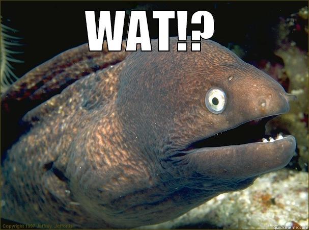 WAT!?  Bad Joke Eel