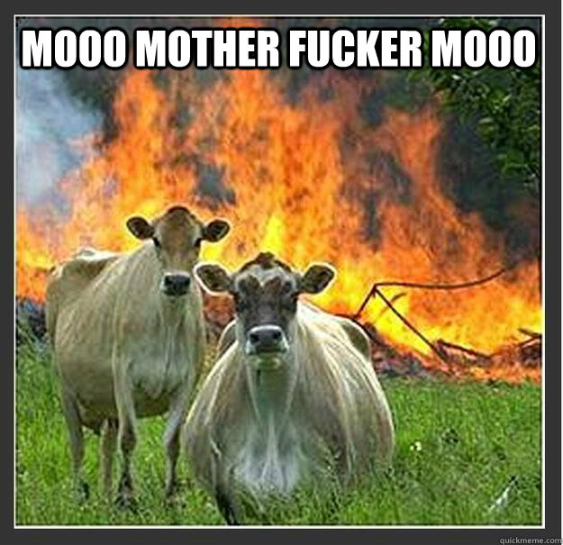 MOOO mother fucker MOOo   Evil cows