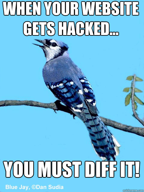 When your website gets hacked... You must Diff it!  Blue Team Bird