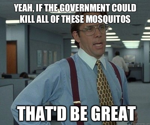 Yeah, if the government could kill all of these Mosquitos THAT'D BE GREAT  that would be great