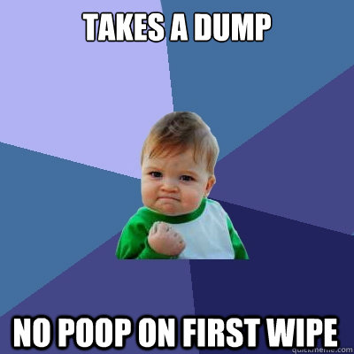 Takes a dump No poop on first wipe  Success Kid