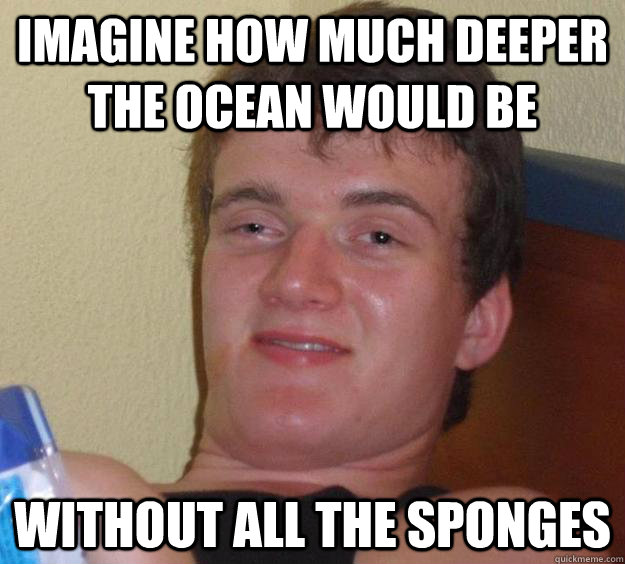 imagine how much deeper the ocean would be without all the sponges  10 Guy