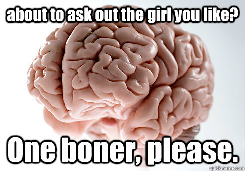 about to ask out the girl you like? One boner, please.   Scumbag Brain