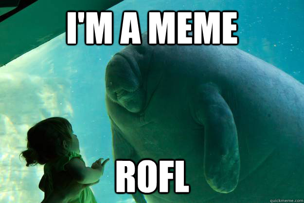 I'M A MEME ROFL  Overlord Manatee