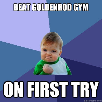 Beat goldenrod gym on first try - Beat goldenrod gym on first try  Success Kid