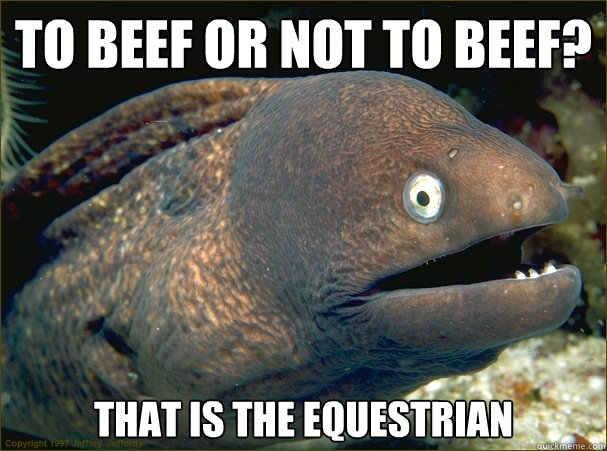 To beef or not to beef? That is the equestrian  Bad Joke Eel