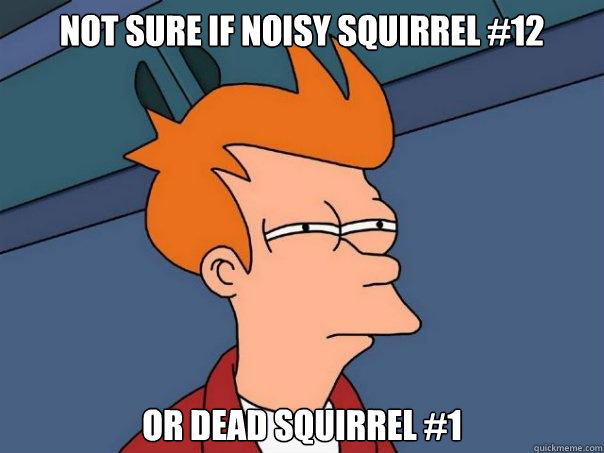 Not sure if noisy squirrel #12 or dead squirrel #1  Futurama Fry