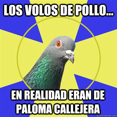 Los volos de pollo... En realidad eran de paloma callejera  Religion Pigeon