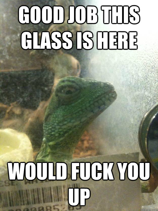 good job this glass is here would fuck you up  Leery Lizard