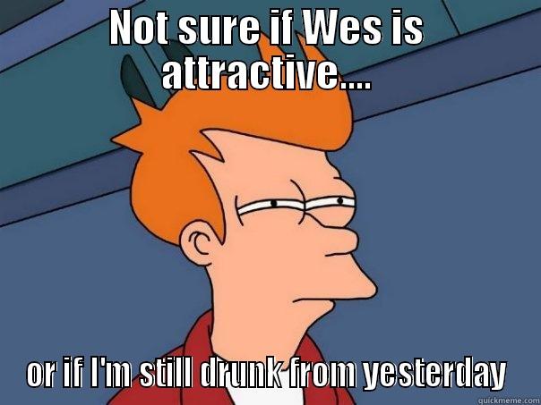 NOT SURE IF WES IS ATTRACTIVE.... OR IF I'M STILL DRUNK FROM YESTERDAY Futurama Fry