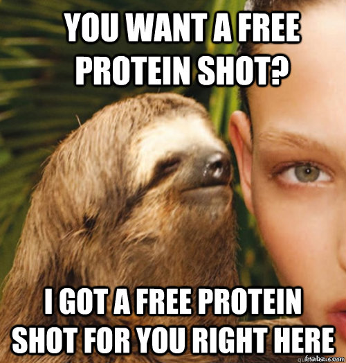 you want a free protein shot? I got a free protein shot for you right here  rape sloth