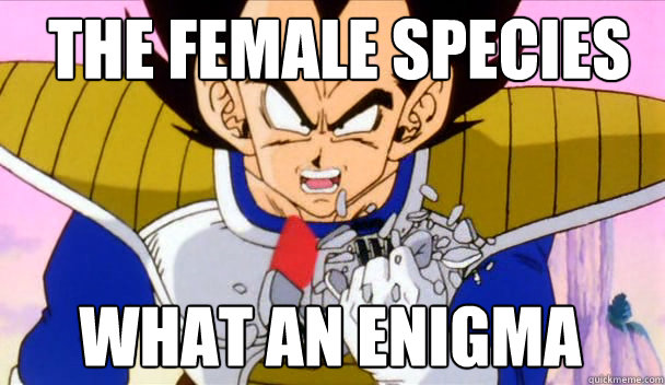 What an enigma The female species - What an enigma The female species  Based Vegeta