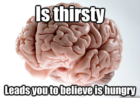 Is thirsty Leads you to believe is hungry   Scumbag Brain