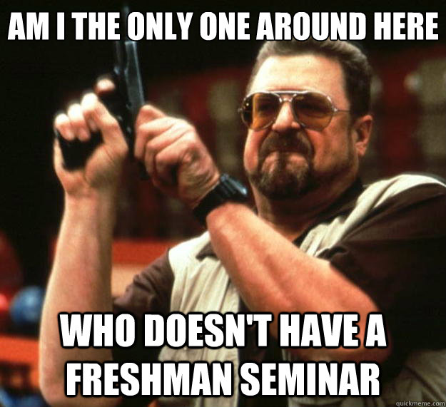 Am I the only one around here who doesn't have a freshman seminar  Big Lebowski