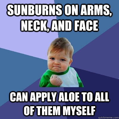 sunburns on arms, neck, and face can apply aloe to all of them myself - sunburns on arms, neck, and face can apply aloe to all of them myself  Success Kid