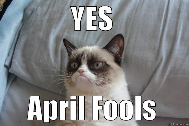 YES APRIL FOOLS Grumpy Cat