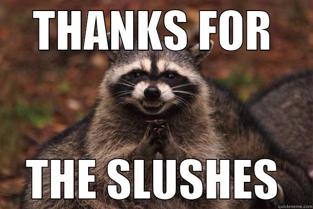 Thanks Steve - THANKS FOR THE SLUSHES Evil Plotting Raccoon