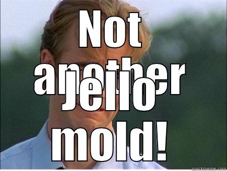 NOT ANOTHER JELLO MOLD! 1990s Problems