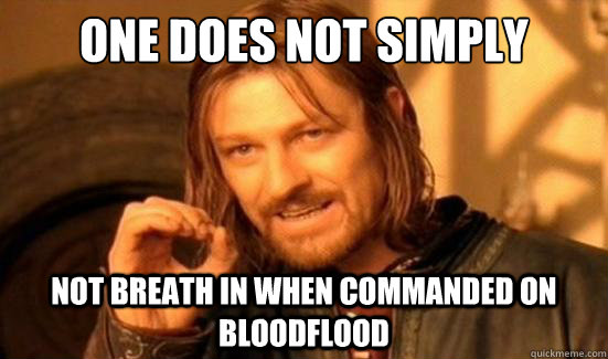 One Does Not Simply not breath in when commanded on Bloodflood   Boromir