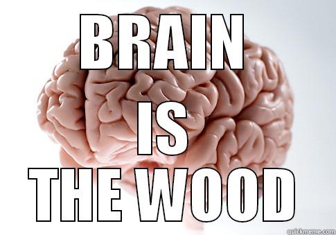 BRAIN IS THE WOOD Scumbag Brain