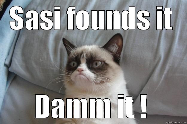 SASI FOUNDS IT DAMM IT ! Grumpy Cat