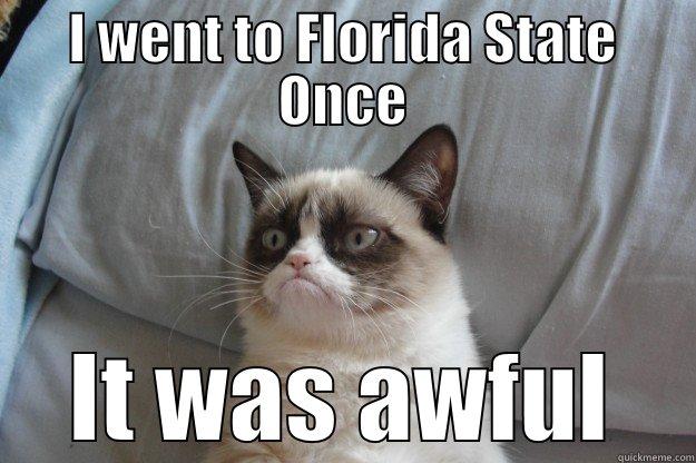 I WENT TO FLORIDA STATE ONCE IT WAS AWFUL Grumpy Cat