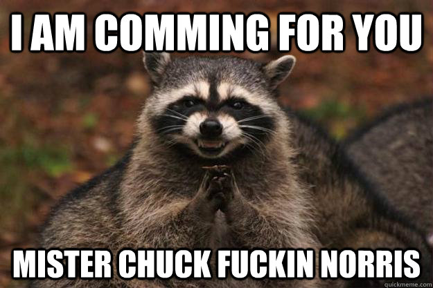 I AM COMMING FOR YOU MISTER CHUCK FUCKIN NORRIS   Evil Plotting Raccoon