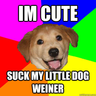 im cute suck my little dog weiner  Advice Dog