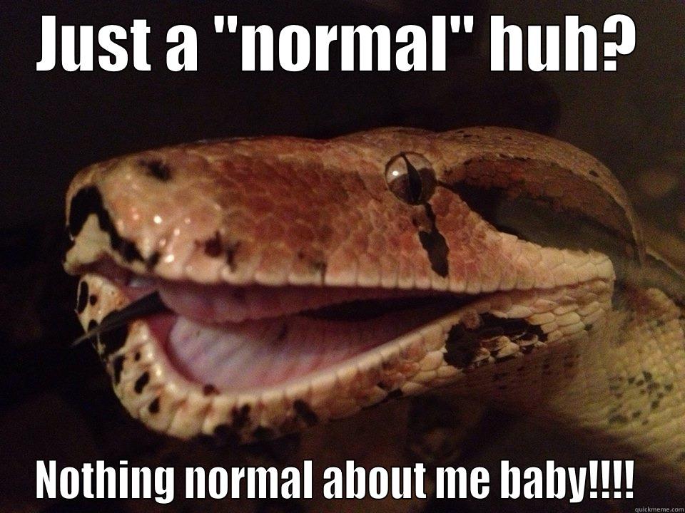 Boa Constrictor Imperator says: - JUST A 