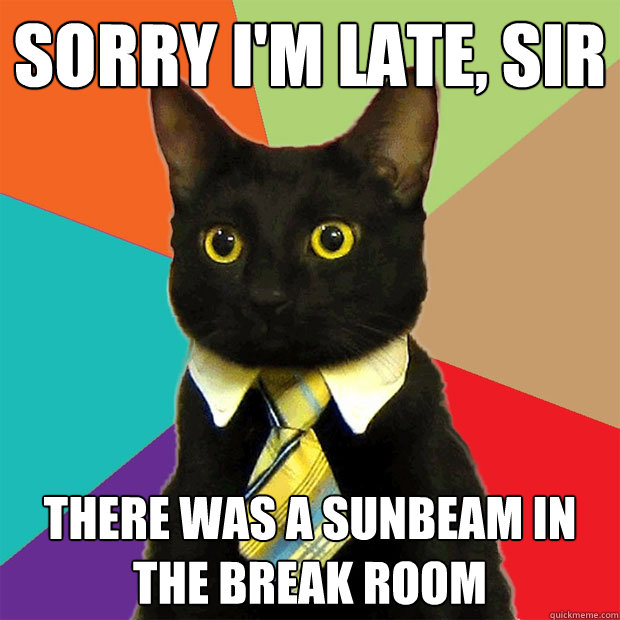 Sorry I'm late, sir there was a sunbeam in the break room  Business Cat