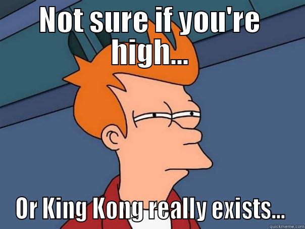 Not sure if - NOT SURE IF YOU'RE HIGH... OR KING KONG REALLY EXISTS... Futurama Fry