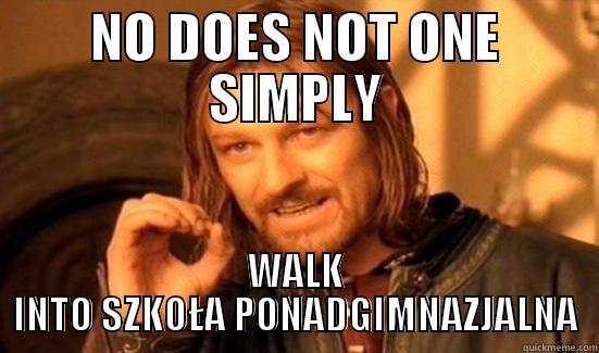 no beka - NO DOES NOT ONE SIMPLY WALK INTO SZKOŁA PONADGIMNAZJALNA Boromir