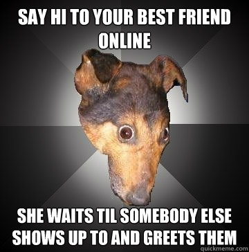 Say hi to your best friend online She waits til somebody else shows up to and greets them  Depression Dog