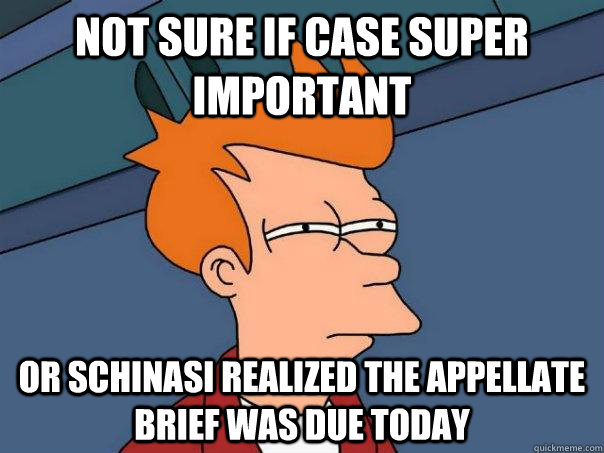 Not sure if case super important Or schinasi realized the appellate brief was due today  Futurama Fry